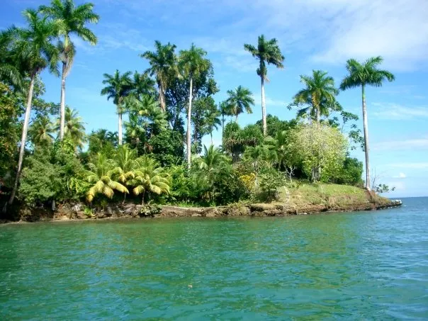 Field site in Bocas del Toro, Panama