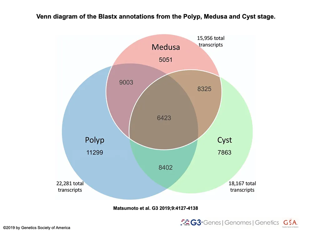 Figure 2 from the Turritopsis dohrnii transcriptome paper