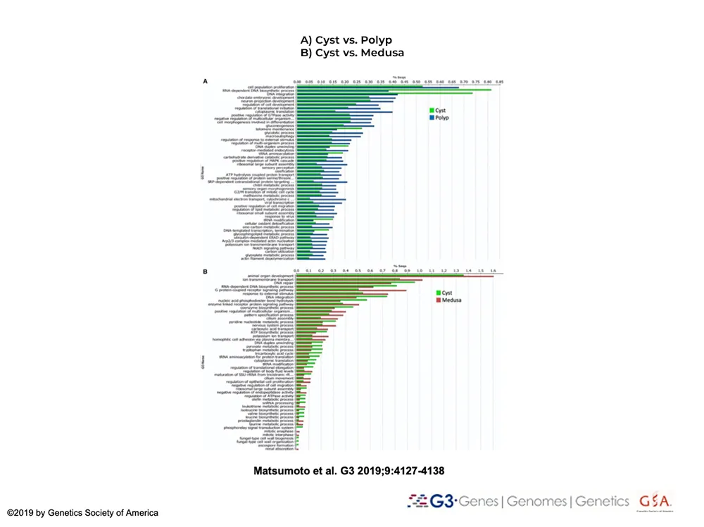 Figure 3 from the Turritopsis dohrnii transcriptome paper