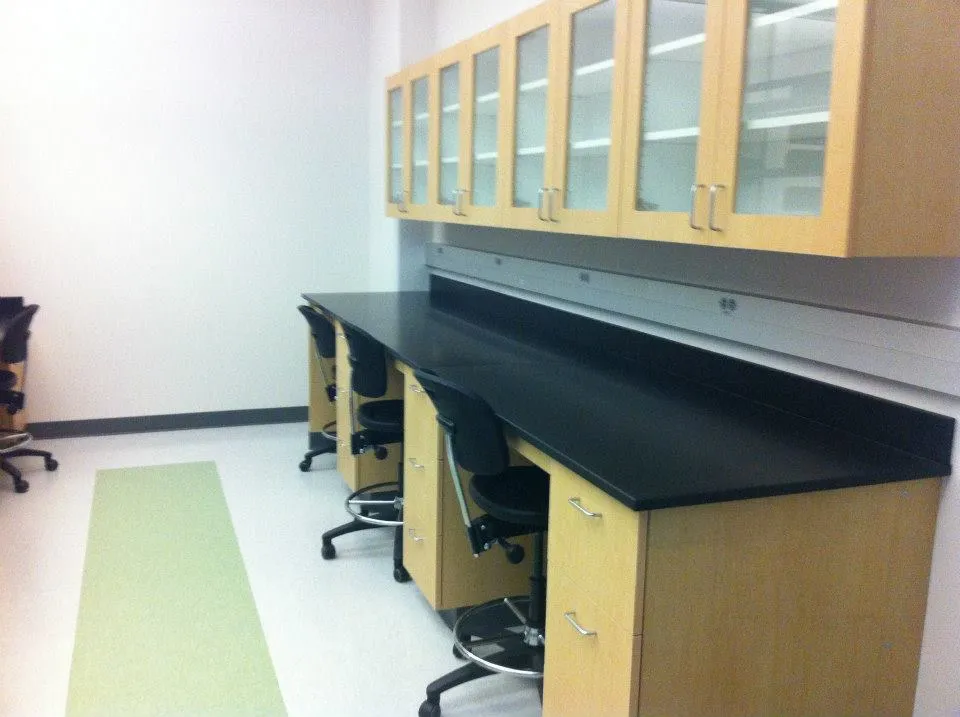 The Miglietta Lab workspace